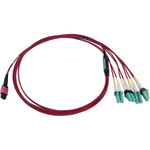 Tripp Lite N845X-01M-8L-MG 40/100G Multimode 50/125 OM4 Fiber Optic Cable (12F MTP/MPO-PC to 4x Duplex LC/PC F/M), LSZH, Magenta, 1 m (3.3 ft.)