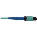 Tripp Lite N846B-02M-24-P 40/100/400G Multimode 50/125 OM3 Fiber Optic Cable (24F MTP/MPO-PC F/F) LSZH Aqua 2 m (6.6 ft.)