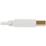 Tripp Lite U022AB-006-WH Safe-IT USB-A to USB-B Antibacterial Cable (M/M), USB 2.0, White, 6 ft.