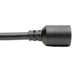 Tripp Lite Power Extension Cord/Splitter NEMA L6-20P to 2x NEMA L6-20R Y Splitter Heavy-Duty 20A 250V 10 AWG 1 ft. (0.31 m) Black
