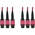 Tripp Lite N858B-10M-3X8MG 40/100/400G Multimode 50/125 OM4 Fiber Optic Cable (3x8F MTP/MPO-PC F/F) LSZH Magenta 10 m (32.8 ft.)