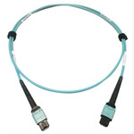 Tripp Lite N846D-01M-24AAQ 400G Multimode 50/125 OM4 Plenum-Rated Fiber Optic Cable 24F MTP/MPO-PC (F/F) Aqua 1 m