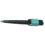 Tripp Lite N846D-01M-24AAQ 400G Multimode 50/125 OM4 Plenum-Rated Fiber Optic Cable 24F MTP/MPO-PC (F/F) Aqua 1 m