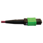 Tripp Lite N846D-05M-16CMG 400G Multimode 50/125 OM4 Plenum Fiber Optic Cable 16F MTP/MPO-APC to 24F MTP/MPO-UPC (F/F) Magenta 5 m