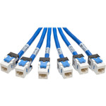 Tripp Lite N261-006-6MF-BL Cat6a 10G Pre-Terminated Copper Trunk Assembly (6x RJ45 M/F) Blue 6 ft. (1.83 m)