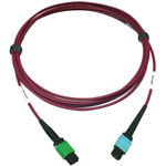 Tripp Lite N846D-03M-16CMG 400G Multimode 50/125 OM4 Plenum Fiber Optic Cable 16F MTP/MPO-APC to 24F MTP/MPO-UPC (F/F) Magenta 3 m