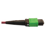 Tripp Lite N846D-03M-16CMG 400G Multimode 50/125 OM4 Plenum Fiber Optic Cable 16F MTP/MPO-APC to 24F MTP/MPO-UPC (F/F) Magenta 3 m