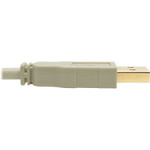 Tripp Lite U022-006-BE 6ft USB 2.0 Hi-Speed A/B Cable M/M 28/24 AWG 480 Mbps Beige 6'