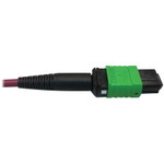 Tripp Lite N846D-01M-16EMG 400G Multimode 50/125 OM4 Plenum Fiber Optic Breakout Cable 16F MTP/MPO-APC to (x4) LC Duplex (F/M) Magenta 1 m