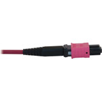 Tripp Lite N845B-20M-12-MG 100G Multimode 50/125 OM4 Fiber Optic Cable (12F MTP/MPO-PC F/F), LSZH, Magenta, 20 m (65.6 ft.)