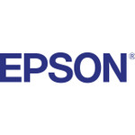 Epson Blue Ink Cartridge