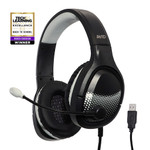 AVID Products AE-79 Universal Audio Headset with USB Connection and Adjustable Boom Microphone - Black