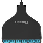 Panduit FQSA-12-10AF QuickNet SFQ MPO-LC Cassette - OM4+ - 12 Fiber - Method A