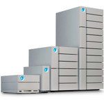 Seagate STLG32000400 2big Dock DAS Storage System