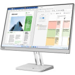 Lenovo L25e-40 25" Class Full HD LED Monitor - 16:9