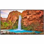 Sharp PNME552 55" Ultra High-Definition Commercial Display