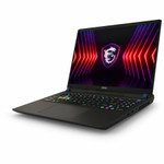 MSI Vector 16 HX A14V Vector 16 HX A14VFG-246US 16" Gaming Notebook - QHD+ - 2560 x 1600 - Intel Core i9 14th Gen i9-14900HX 1.60 GHz - 16 GB Total RAM - 1 TB SSD - Cosmo Gray