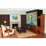 Elite Screens IHome112HW2-E16 Evanesce Series