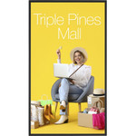 Sharp/NEC P435-PT Display 43" Wide Color Gamut Ultra High Definition Professional Display with PCAP Touch