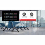 Newline STV+ Smart TV - UHD 4K - Built in Wifi - Digital Signage Capable - Commercial Display