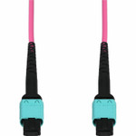 AddOn ADD-MPOMPO-3M5OM4AP-MA 3m MPO/UPC to MPO/UPC Magenta OM4 Armored OFNP (Plenum-Rated) 12-Strand Fiber Patch Cable