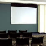 Draper Access E 184" Projection Screen
