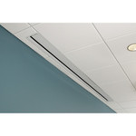 Draper Access E 184" Projection Screen