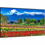 Sharp NEC Display 75" Ultra High Definition Professional Display