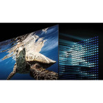 Samsung Q80C QN65Q80CAF 64.5" Smart LED-LCD TV 2023 - 4K UHDTV - Titan Black
