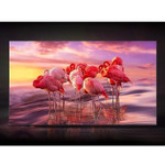 Samsung QN95B QN65QN95BAF 65" Smart LED-LCD TV 2022 - 4K UHDTV