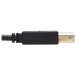 Tripp Lite HDMI KVM Cable Kit 4K HDMI USB 2.0 3.5 mm Audio (M/M) Black 6 ft. (1.83 m)
