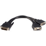 StarTech DMSVGAVGA1 LFH 59 Male to Dual Female VGA DMS 59 Cable