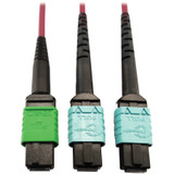 Tripp Lite N846D-03M-16DMG 400G Multimode 50/125 OM4 Plenum Fiber Optic Cable 16F MTP/MPO-APC to (x2) 12F MTP/MPO-UPC (F/F) Magenta 3 m