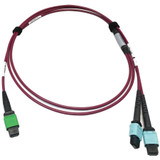 Tripp Lite N846D-03M-16DMG 400G Multimode 50/125 OM4 Plenum Fiber Optic Cable 16F MTP/MPO-APC to (x2) 12F MTP/MPO-UPC (F/F) Magenta 3 m