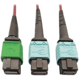 Tripp Lite N846D-03M-16DMG 400G Multimode 50/125 OM4 Plenum Fiber Optic Cable 16F MTP/MPO-APC to (x2) 12F MTP/MPO-UPC (F/F) Magenta 3 m