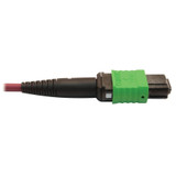 Tripp Lite N846D-03M-16DMG 400G Multimode 50/125 OM4 Plenum Fiber Optic Cable 16F MTP/MPO-APC to (x2) 12F MTP/MPO-UPC (F/F) Magenta 3 m