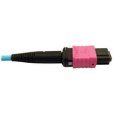 Tripp Lite N846D-03M-24DAQ 400G Multimode 50/125 OM4 Plenum Fiber Optic Cable 24F MTP/MPO-UPC to 16F MTP/MPO-UPC (F/F) Aqua 3 m