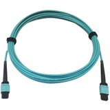 Tripp Lite N846D-05M-24AAQ 400G Multimode 50/125 OM4 Plenum-Rated Fiber Optic Cable 24F MTP/MPO-PC (F/F) Aqua 5 m