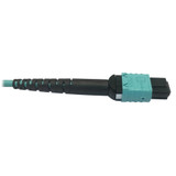 Tripp Lite N846D-05M-24AAQ 400G Multimode 50/125 OM4 Plenum-Rated Fiber Optic Cable 24F MTP/MPO-PC (F/F) Aqua 5 m