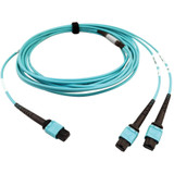 Tripp Lite N846D-05M-24BAQ 400G Multimode 50/125 OM4 Plenum Fiber Optic Cable 24F MTP/MPO-PC to (x2) 12F MTP/MPO-PC (F/F) Aqua 5 m