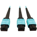 Tripp Lite N846D-05M-24BAQ 400G Multimode 50/125 OM4 Plenum Fiber Optic Cable 24F MTP/MPO-PC to (x2) 12F MTP/MPO-PC (F/F) Aqua 5 m
