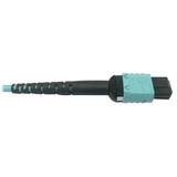 Tripp Lite N846D-01M-24BAQ 400G Multimode 50/125 OM4 Plenum Fiber Optic Cable 24F MTP/MPO-PC to (x2) 12F MTP/MPO-PC (F/F) Aqua 1 m