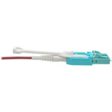 Tripp Lite N821-08M-MG-T 10G Duplex Multimode 50/125 OM4 LSZH Fiber Optic Cable (LC/LC) Push/Pull Tabs Magenta 8 m