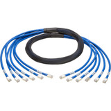 Tripp Lite N261-010-6MM-BL Cat6a 10G Pre-Terminated Copper Trunk Assembly (6x RJ45 M/M) Blue 10 ft. (3.05 m)