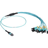 Black Box FOHC20M3MPLC12AQ-1R2 MTP OM3 Fiber Optic Harness Cable - Plenum, 12-Strand