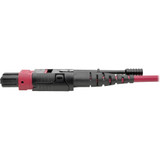 Tripp Lite N845-02M-12-MG 100G MTP/MPO Multimode OM4 Plenum-Rated Fiber Optic Cable (F/F), 12 Fiber, 40/100GBASE-SR4, Push/Pull Tabs, Magenta, 2 m