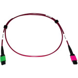 Tripp Lite N846D-01M-16BMG 400G Multimode 50/125 OM4 Plenum Fiber Optic Cable 16F MTP/MPO-APC to MTP/MPO-UPC (F/F) Magenta 1 m