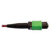 Tripp Lite N846D-01M-16BMG 400G Multimode 50/125 OM4 Plenum Fiber Optic Cable 16F MTP/MPO-APC to MTP/MPO-UPC (F/F) Magenta 1 m