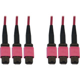 Tripp Lite N858B-23M-3X8MG 40/100/400G Multimode 50/125 OM4 Fiber Optic Cable (3x8F MTP/MPO-PC F/F) LSZH Magenta 23 m (75.5 ft.)