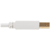 Tripp Lite U022AB-010-WH Safe-IT USB-A to USB-B Antibacterial Cable (M/M), USB 2.0, White, 10 ft.